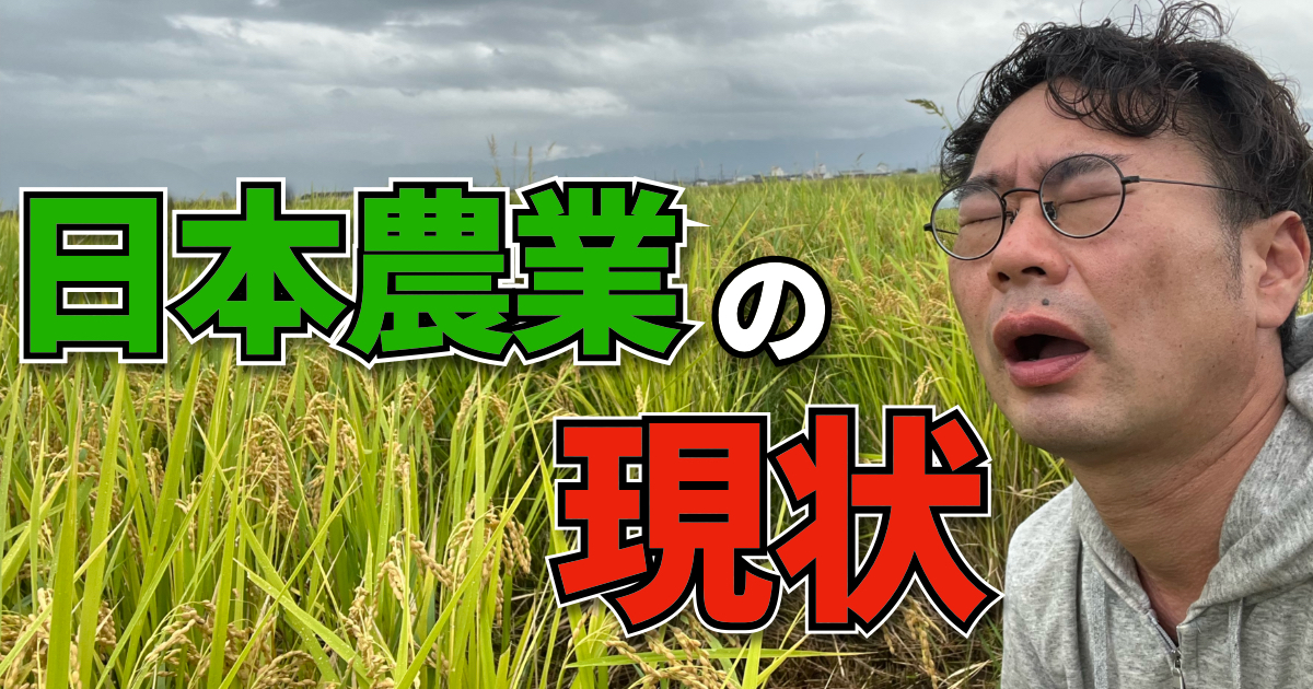 日本農業の現状