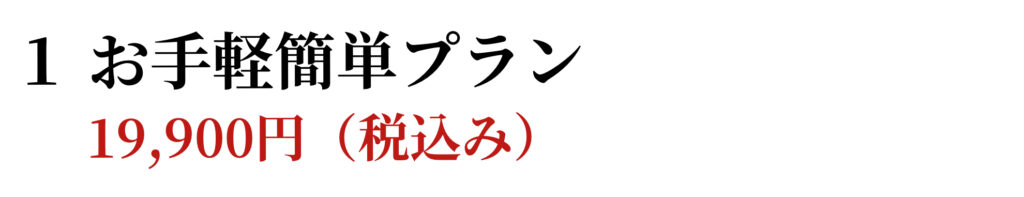 お手軽簡単プラン